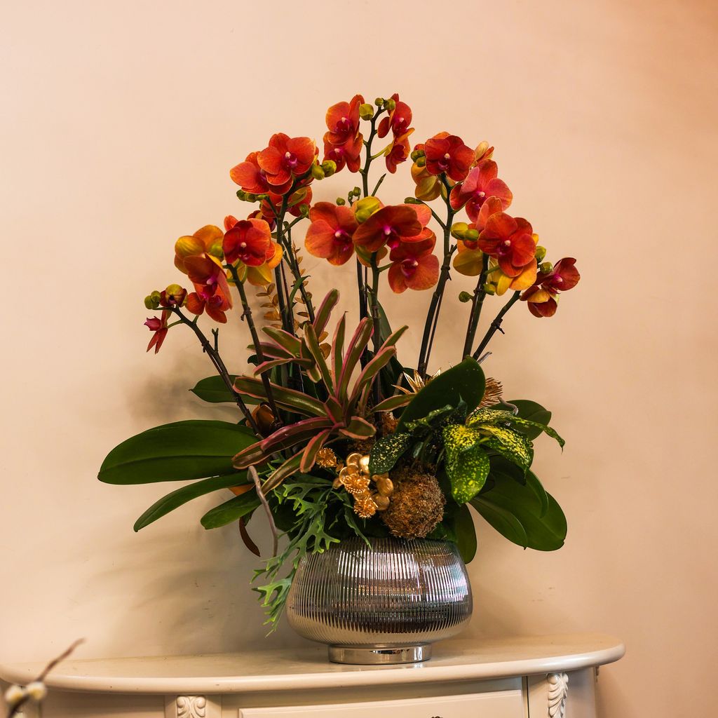 image_6067ECE4-BA3D-4A91-BADD-91C68B1FD857_1770041854