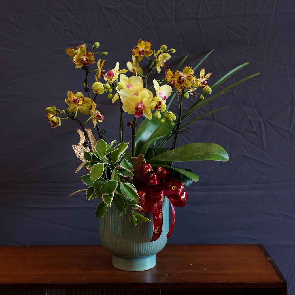 image_55C3F80E-D1EC-42AB-BC44-29ECEA1B334E_1770041898