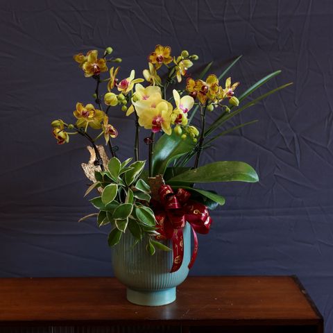 image_55C3F80E-D1EC-42AB-BC44-29ECEA1B334E_1770041898