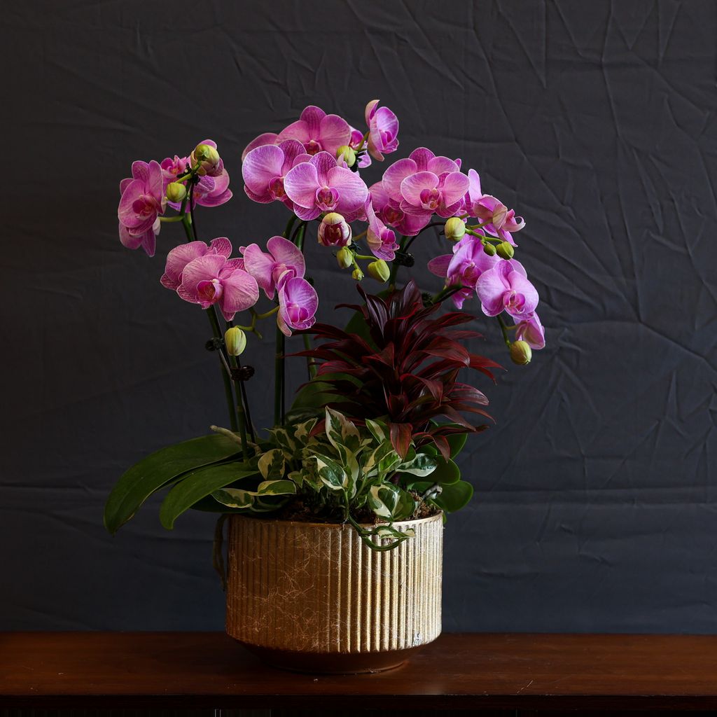 image_D9832C52-DDC3-4E64-9C23-6E8D03B7B3FB_1770041934