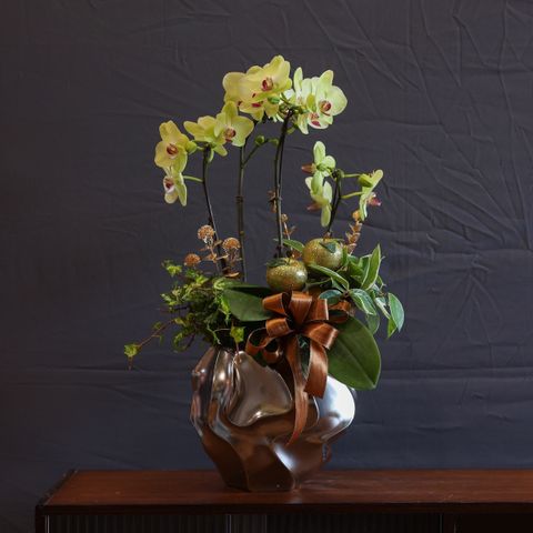 image_9F27ABF9-D55E-4068-B136-A15FEA78D247_1770041981