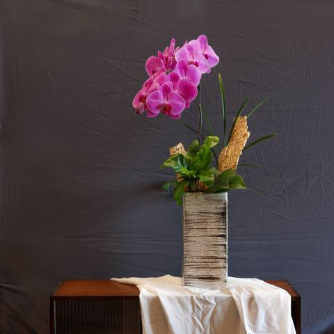 image_4EA766F4-BB19-461E-B351-7BF48A074694_1770042124