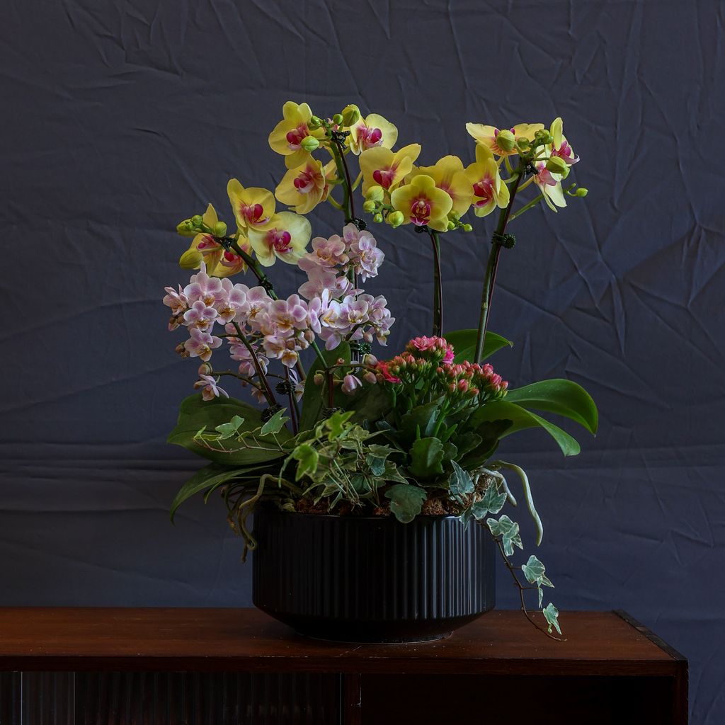 image_3D2AD73D-4972-4D1D-B3B2-A4A24AE0251A_1770042168