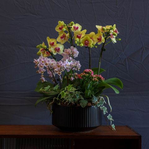 image_3D2AD73D-4972-4D1D-B3B2-A4A24AE0251A_1770042168