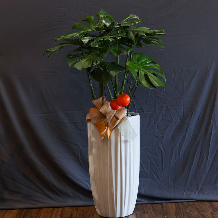 image_8BDF2308-C65F-4BA3-8A39-3E72E522309D_1770042265