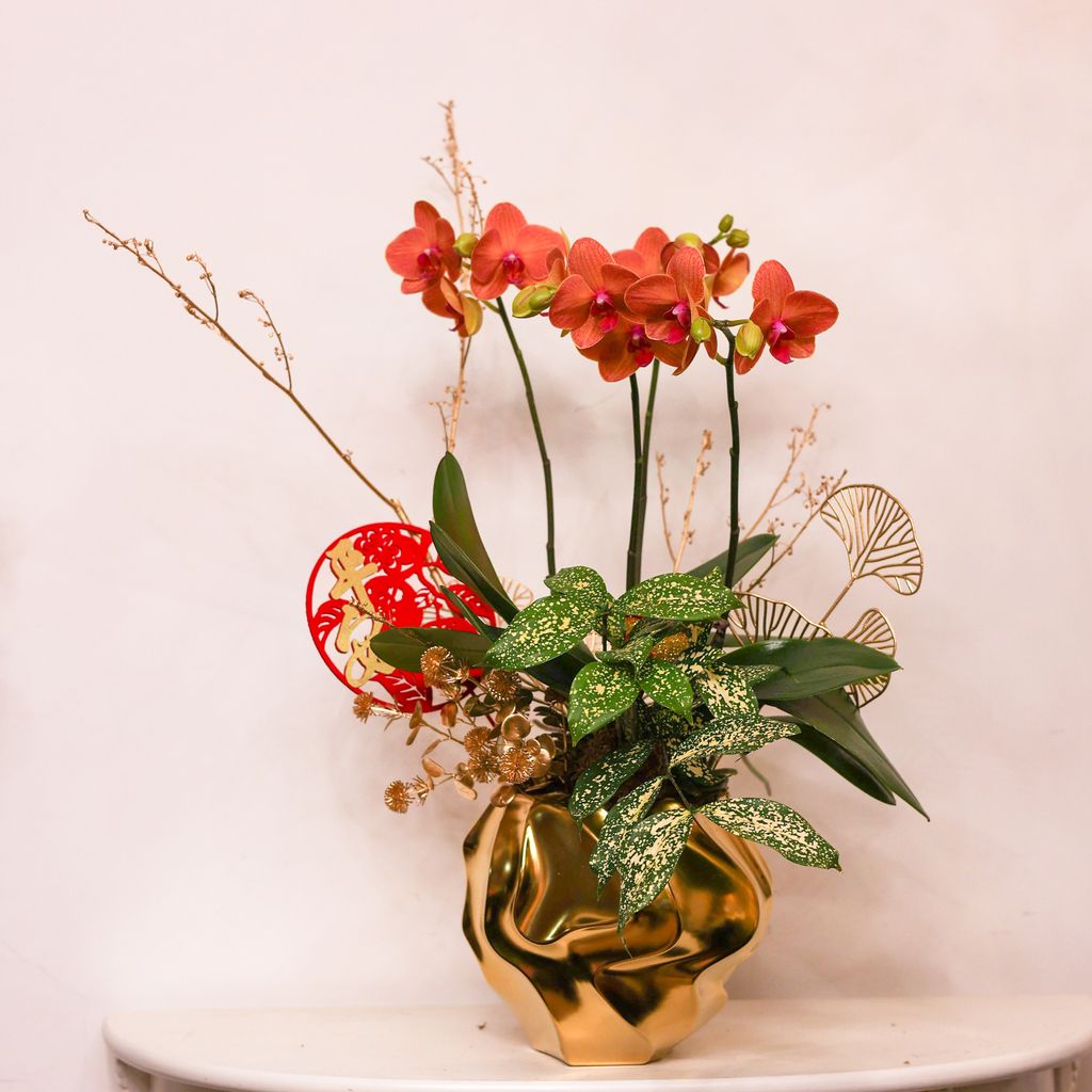 image_06D0AEDC-43DB-4C63-8076-12336EA77539_1770694754