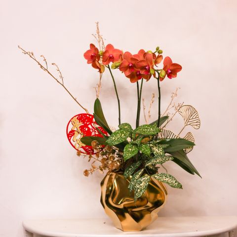 image_06D0AEDC-43DB-4C63-8076-12336EA77539_1770694754