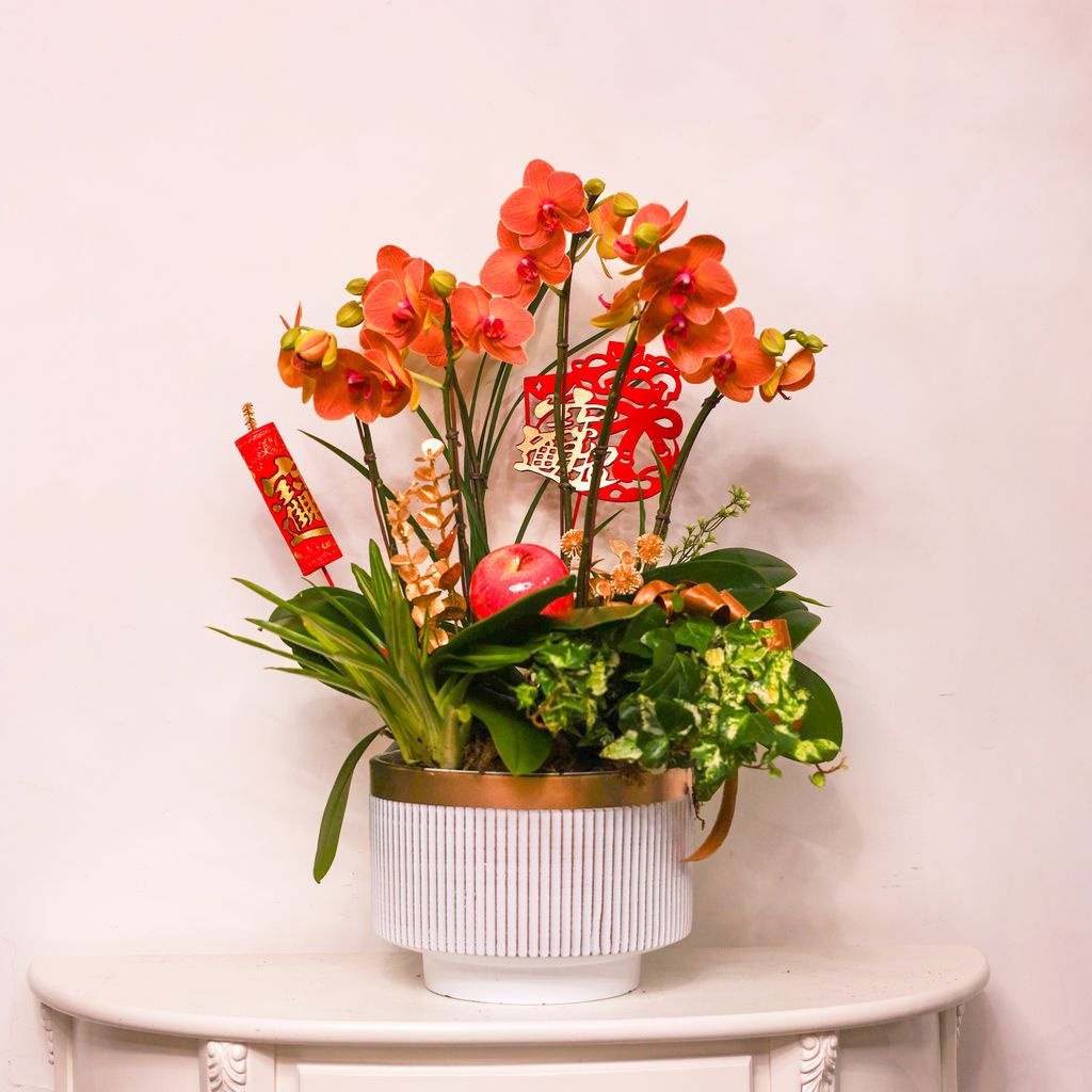 image_4563B181-00D2-4AAE-96C7-F533168D0013_1770695034