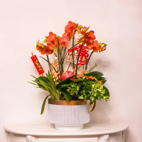 image_4563B181-00D2-4AAE-96C7-F533168D0013_1770695034