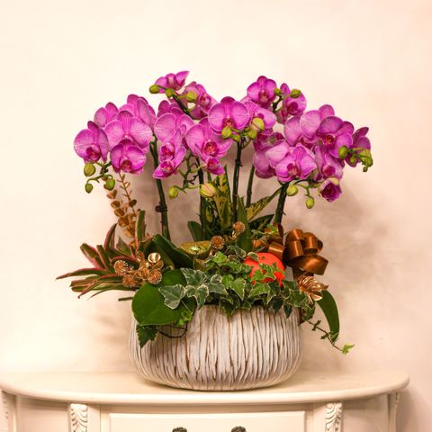 image_5F94BAE5-B2FB-47CD-8E0A-C5703E97BFB6_1770695259