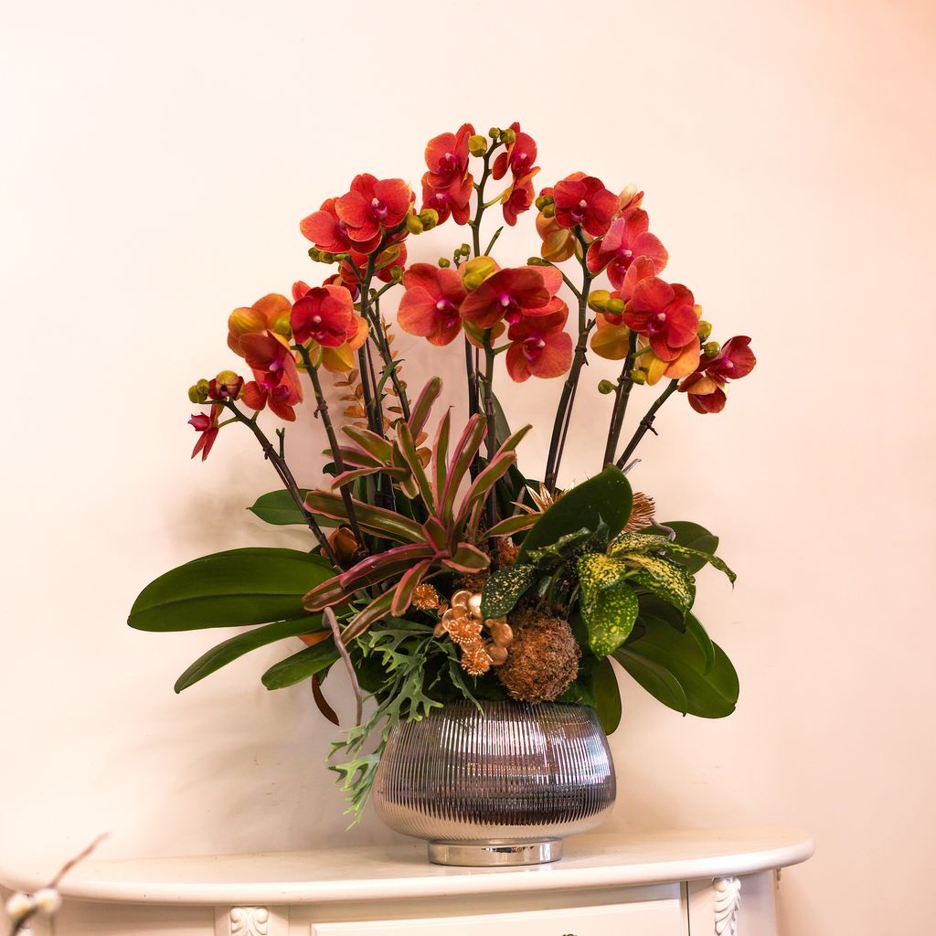 image_56ED658B-2E63-41DD-934B-0149146621C9_1770696020