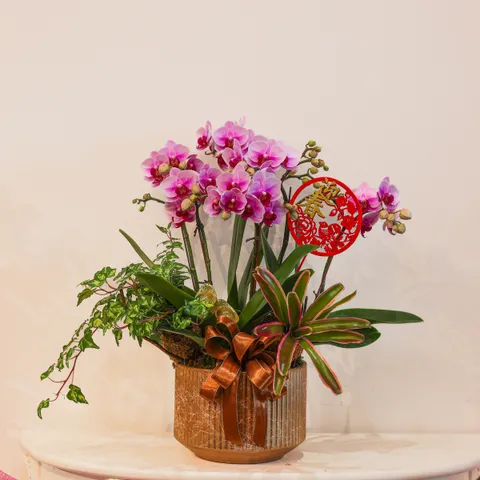 image_C21CBB4E-2696-4334-9836-263BCE35758C_1770696138