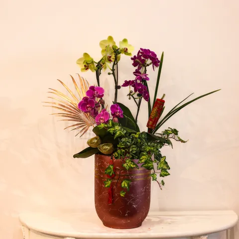 image_36F23E49-3ABE-45A7-83D8-38163B3631F2_1770696307