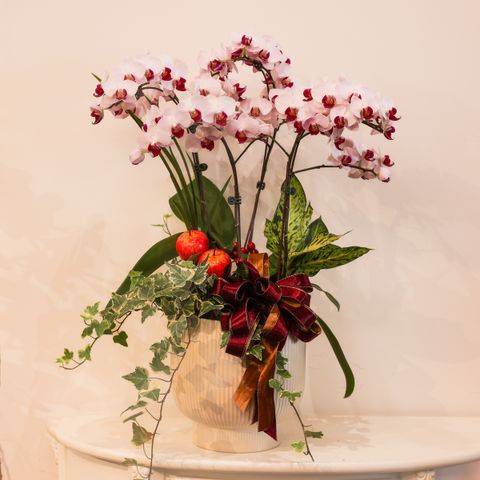 image_1692888F-CB3C-419D-BD34-E2A2884E3633_1770696425