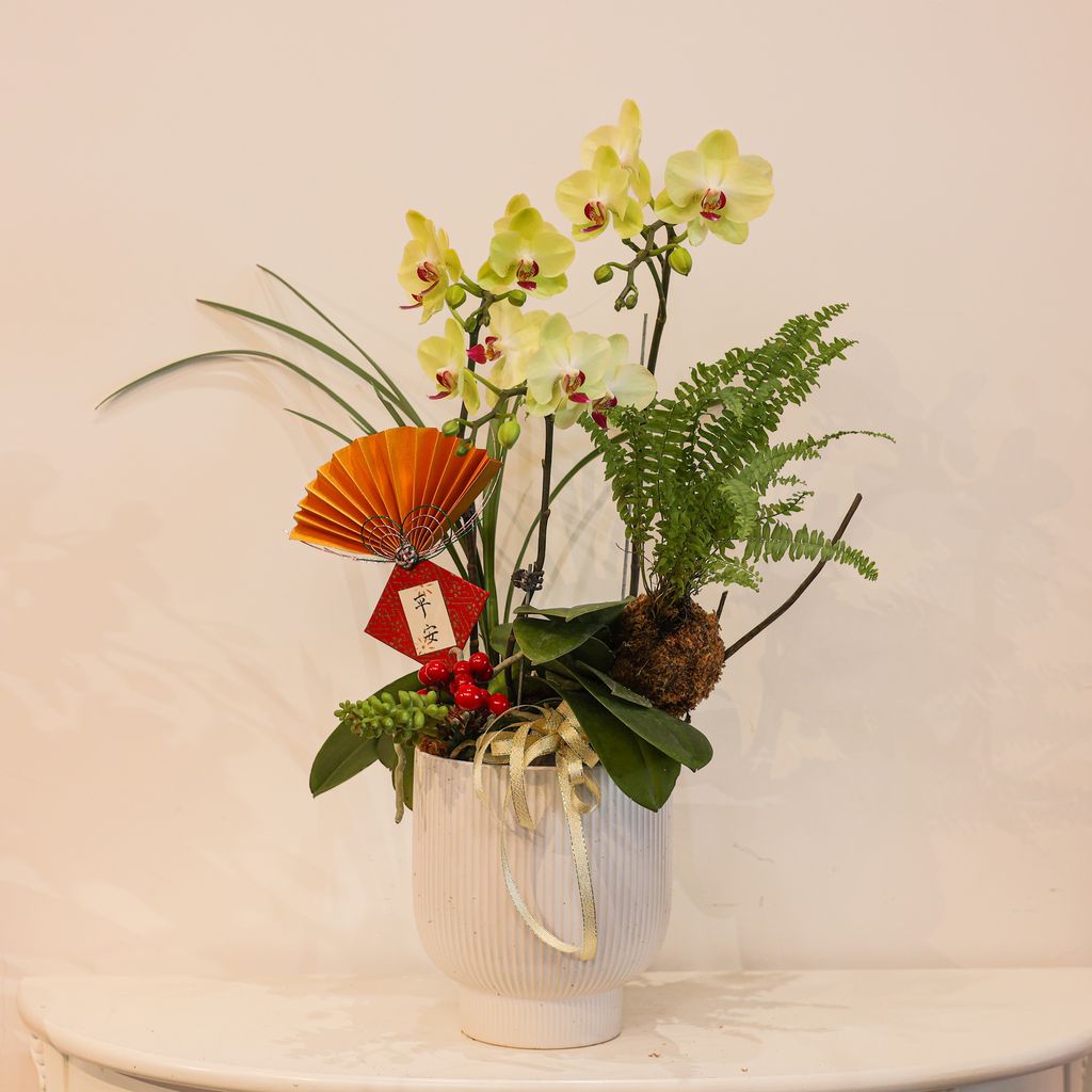 image_1050B5AA-C2B4-4AD7-AE4F-35889F38D096_1770696590