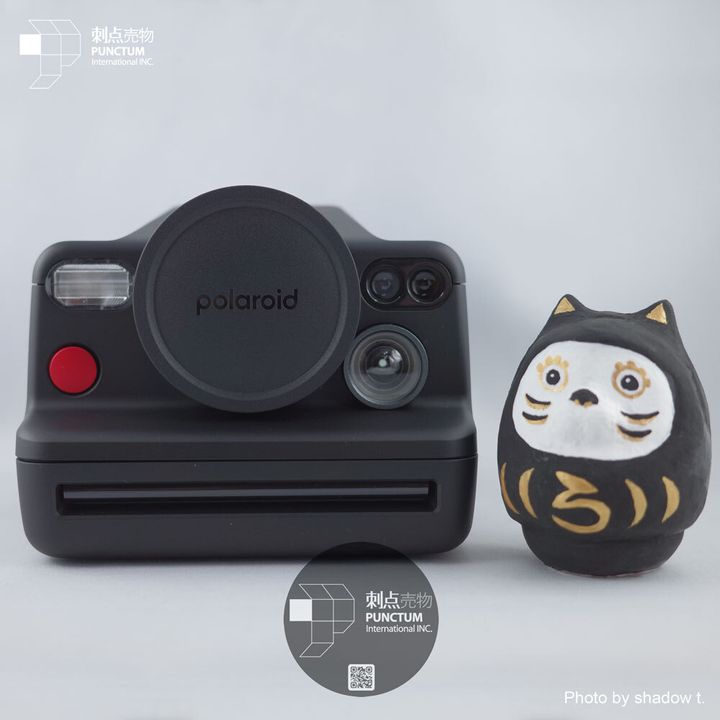 Polaroid-I-2--Pro01