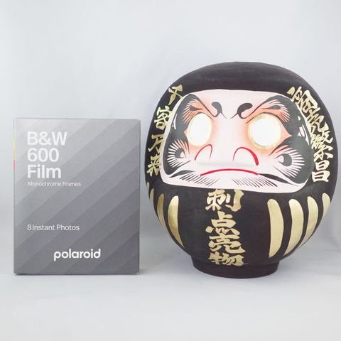 D6F9-Polaroid-寶麗來-600--黑白單色框相紙-SQ1000-