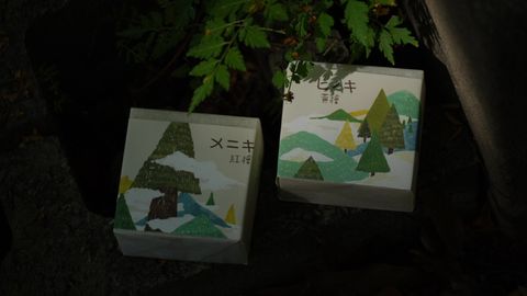 LINE_ALBUM_11月島國宣傳照_251027_2