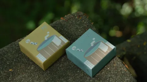 image_25D02D54-E761-4F05-8400-D6365E490F92_1762787077