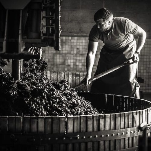 Clément & fils - L' Atelier du Champagne