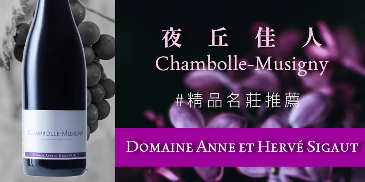 勃根地風土巡禮❦一品夜丘佳人Chambolle-Musigny優雅風情的絕佳推薦 ♜ Domaine Anne et Herve Sigaut (希高酒莊) ♜