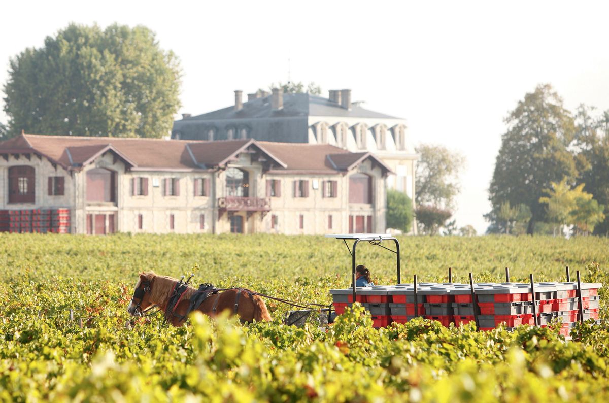Chateau Pontet-Canet 波爾多𝘚𝘶𝘱𝘦𝘳-𝘚𝘦𝘤𝘰𝘯𝘥 超二級莊