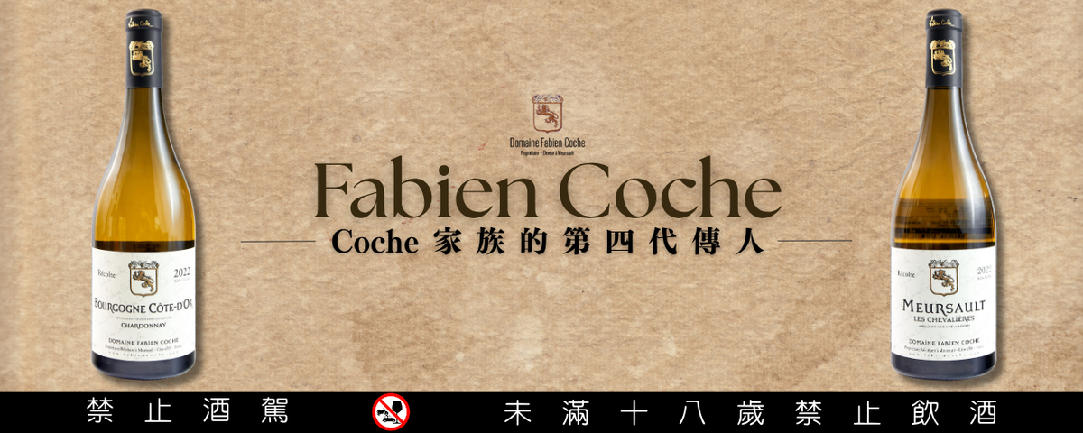 ◤ 𝐅𝐚𝐛𝐢𝐞𝐧 𝐂𝐨𝐜𝐡𝐞 ◢  買得起的另一個Coche