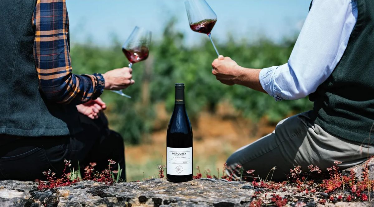 Domaine Chanson 2023 年份報告