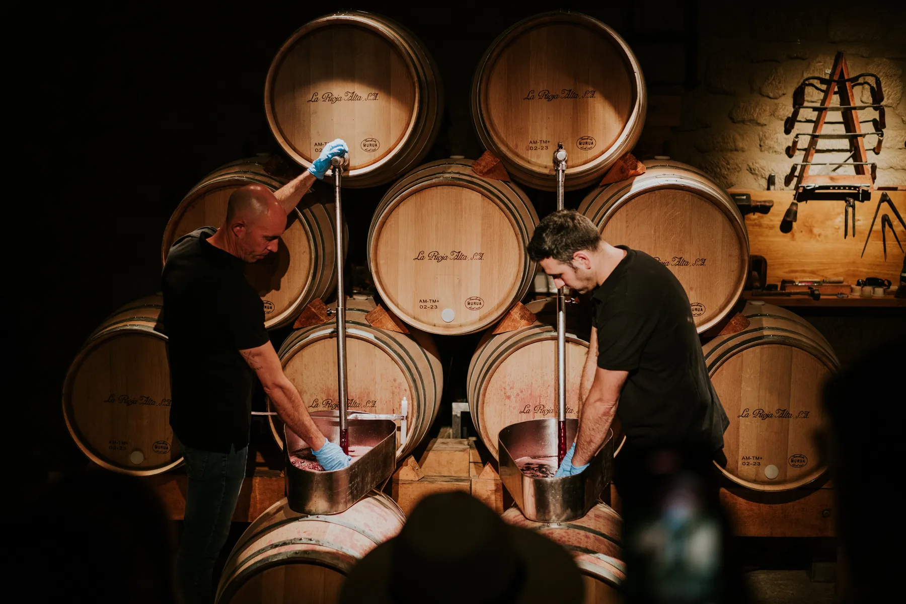 486412820_1095813112589012_1395497522722987898_n