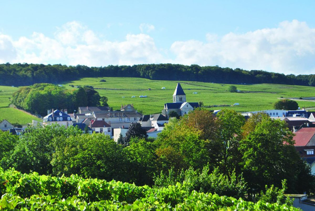 Champagne Pierre Peters-3.jpg