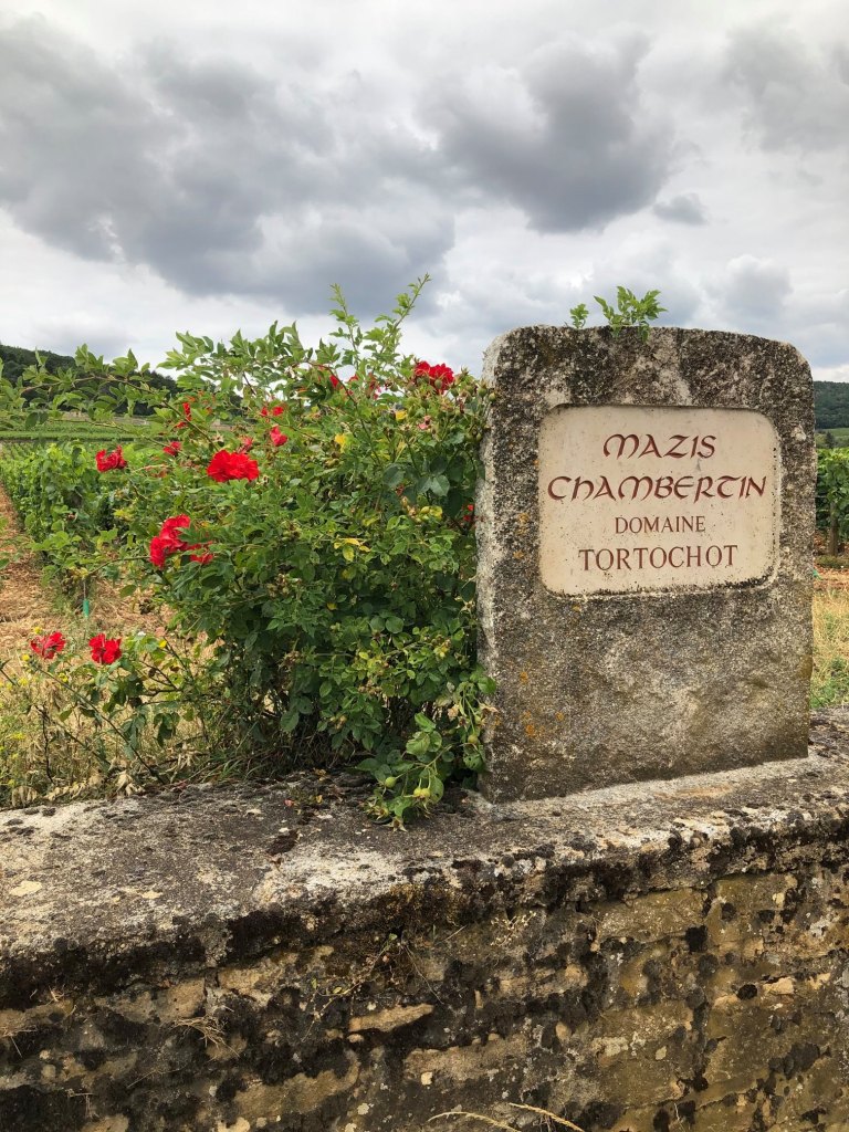 Domaine-Tortochot03.jpg