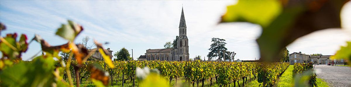 波爾多右岸珍珠－Pomerol