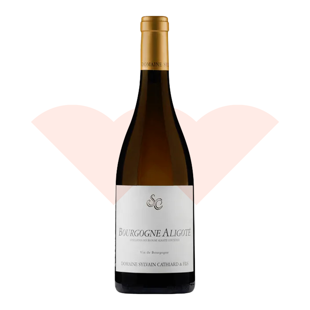 domaine-sylvain-cathiard-bourgogne-aligot-2024-750ml