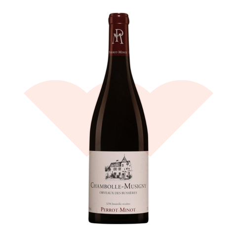 domaine-perrot-minot-chambolle-musigny-orveaux-des-bussi-res-efc7760b