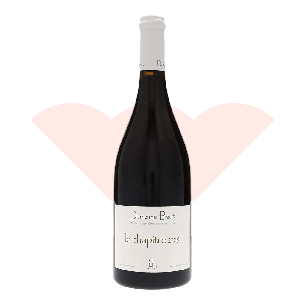domaine-jean-yves-bizot-bourgogne-le-chapitre-2019-750ml