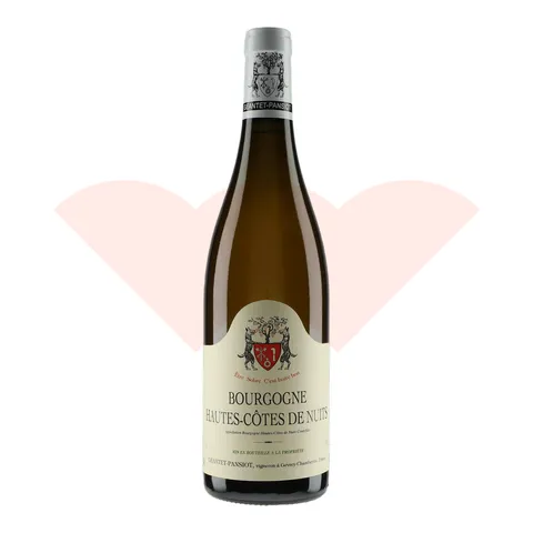 geantet-pansiot-bourgogne-hautes-cotes-de-nuits-blanc-2023-750ml