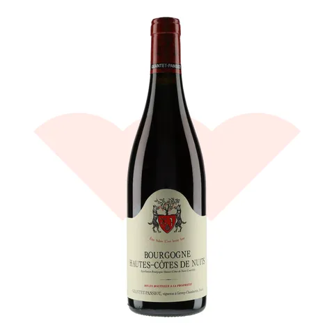 geantet-pansiot-bourgogne-hautes-cotes-de-nuits-rouge-2023-750ml