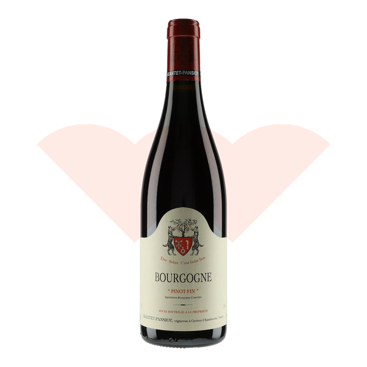 geantet-pansiot-bourgogne-pinot-fin-rouge-2023-750ml