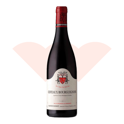 geantet-pansiot-coteaux-bourguignons-2023-750ml