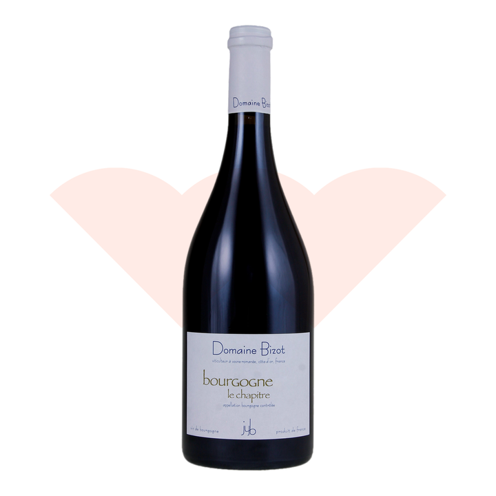 domaine-jean-yves-bizot-bourgogne-le-chapitre-2017-750ml