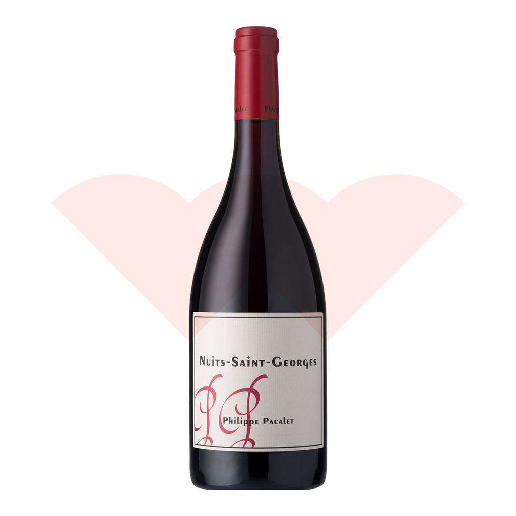 fgb800223m-philippe-pacalet-nuits-saint-georges-2023-magnum