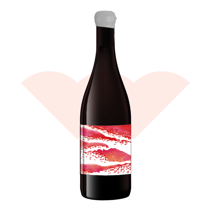 domaine-de-l-ecu-vitae-cabernet-franc-cabernet-sauvignon-2019-750ml