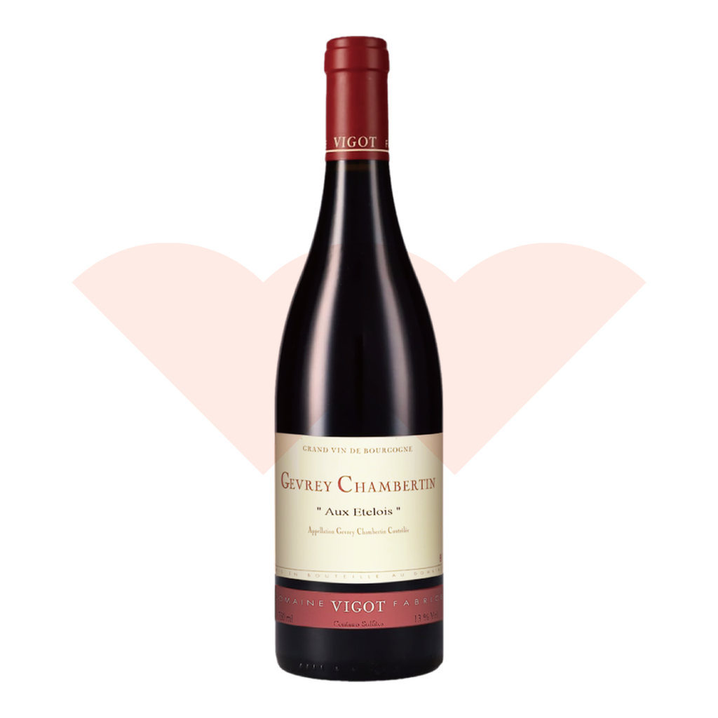 fabrice-vigot-gevrey-chambertin-aux-etelois