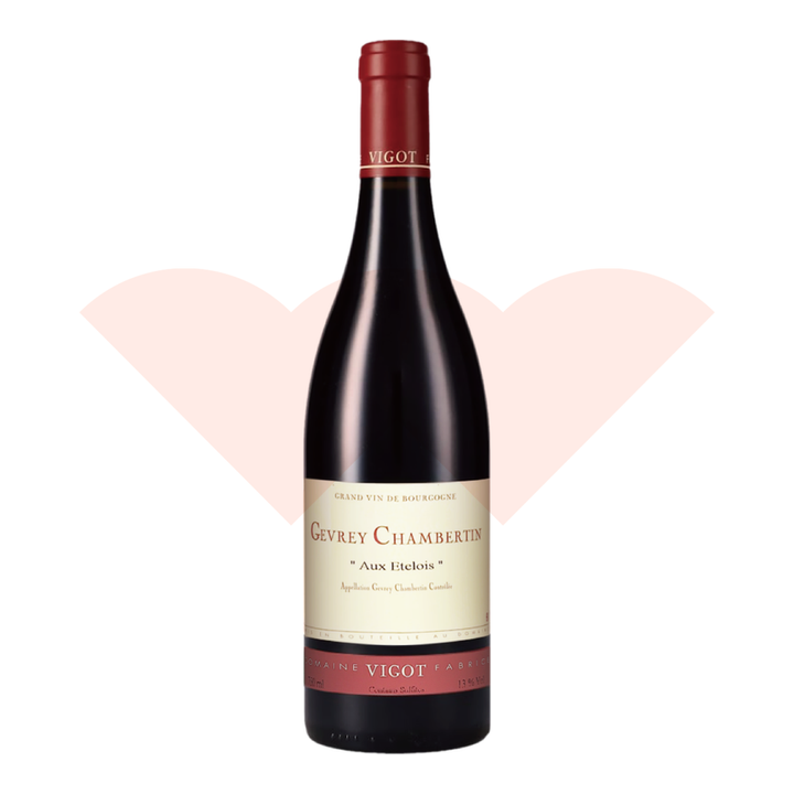 fabrice-vigot-gevrey-chambertin-aux-etelois