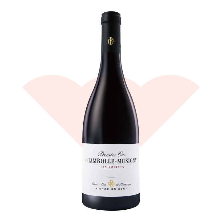 pierre-brisset-chambolle-musigny-1er-cru-les-noirots