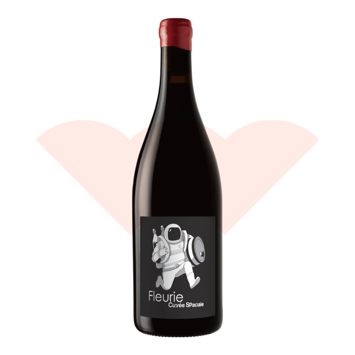 romain-zordan-fleurie-spaciale
