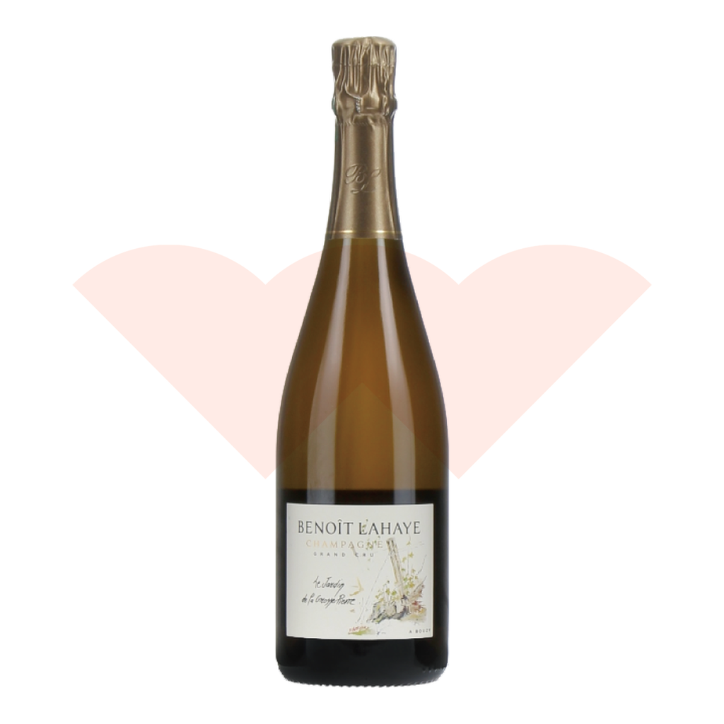 benoit-lahaye-grand-cru-le-jardin-de-la-grosse-pierre-brut-nature