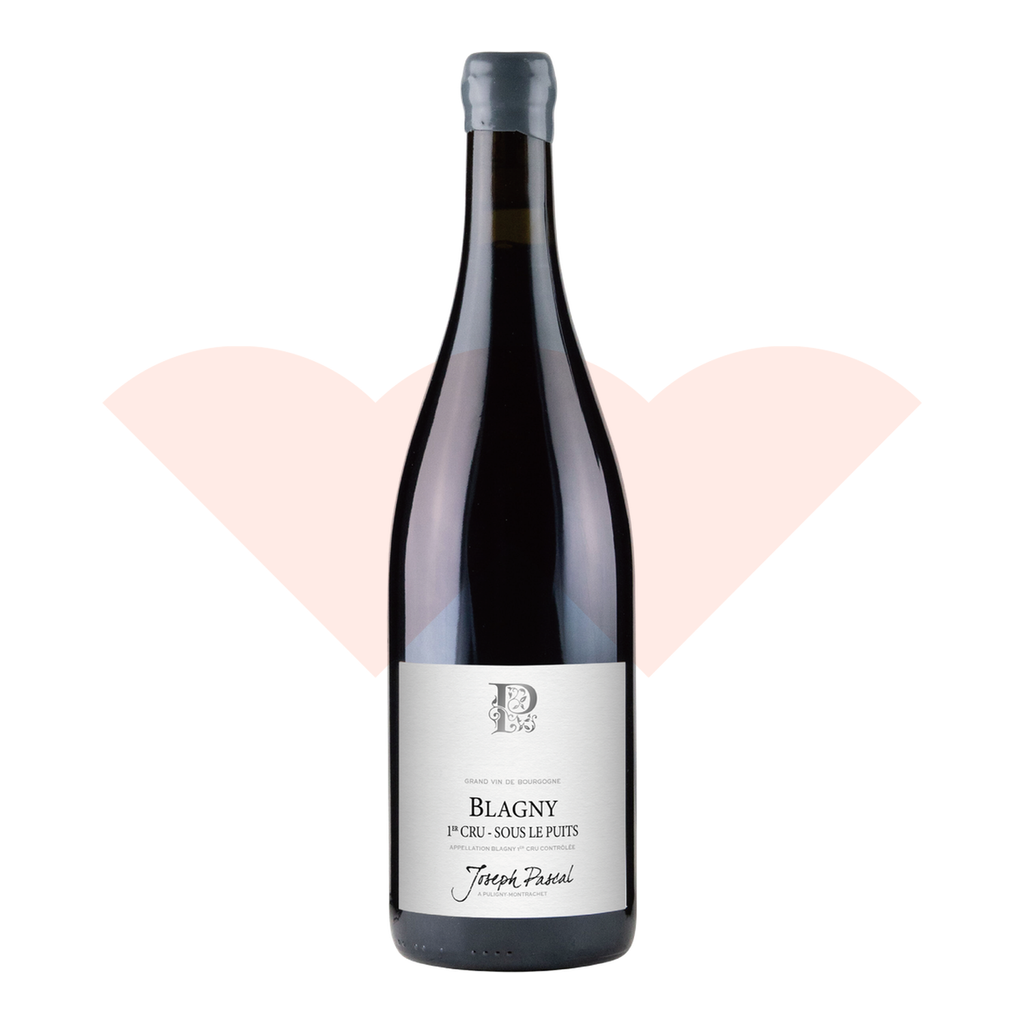 joseph-pascal-blagny-1er-cru-sous-le-puits