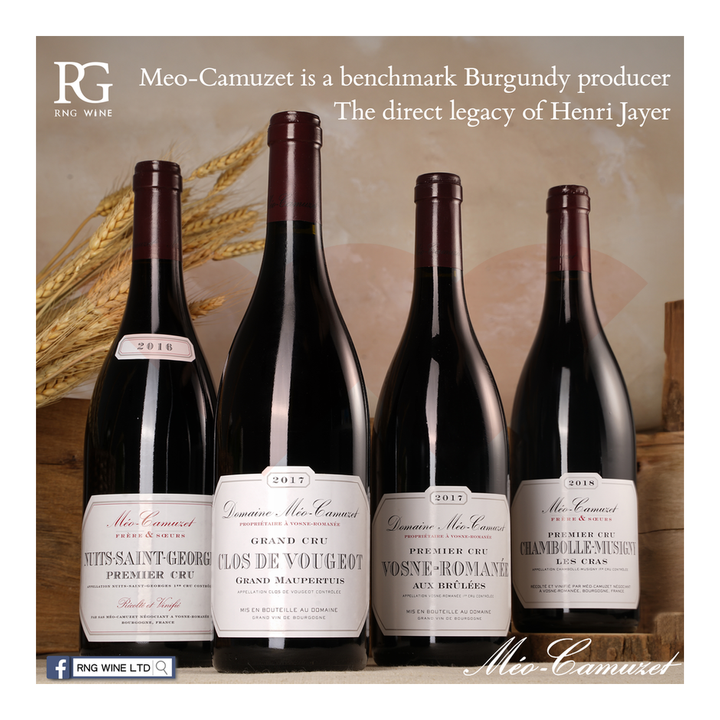 meo-camuzet-vosne-romanee-1er-cru-aux-brulees