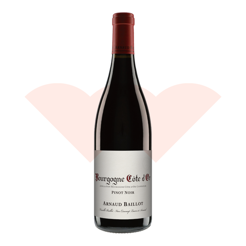 watermark-backfill-17384604-arnaud-baillot-bourgogne-cote-d-or-pinot-noir-2023-750ml